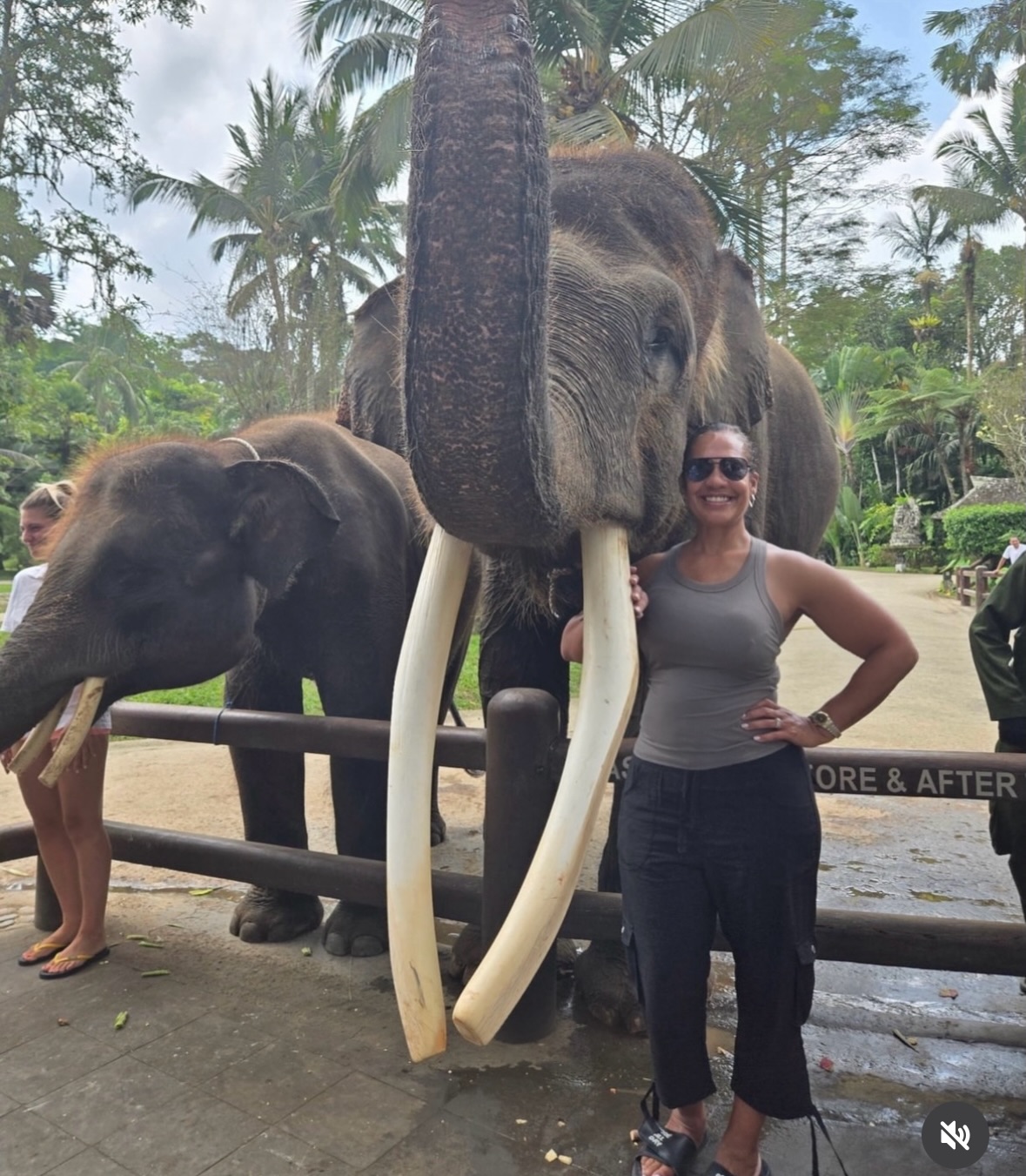 Elephants at a Bali sanctuary, from @ubuddriver_ola